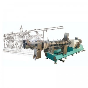 Factory wholesale National Milling Feed -
 Professional manufacturer Twin Screw Extruder for Feed industry – Zhengyi